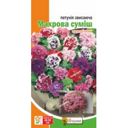 Петунія звисаюча Махрова суміш 15 - 30 нас