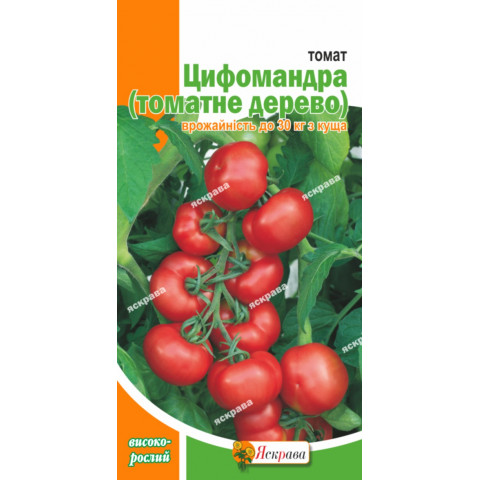 Томат Цифомандра (томатное дерево) 0.1 г