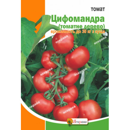 Томат Цифомандра (томатное дерево) 3 гр