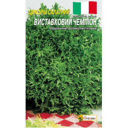 Цикорій салатний Виставковий чемпіон 1 г (Італія)