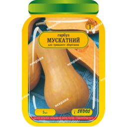 Тыква Мускатная 5 шт