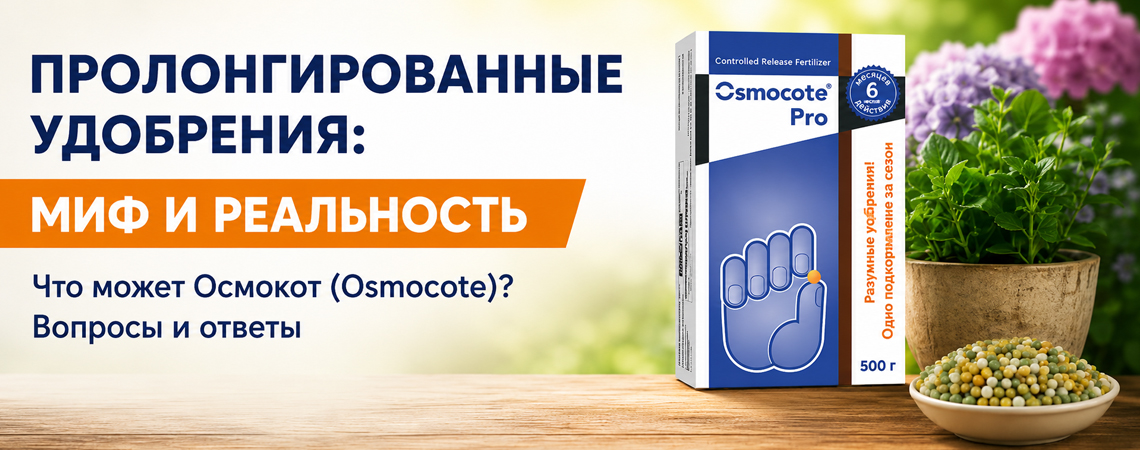 Причини та наслідки, як позбутися хлорозу