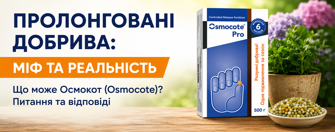 Причини та наслідки, як позбутися хлорозу