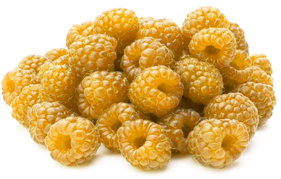 Желтая малина: лучшие сорта для выращивания в Украине