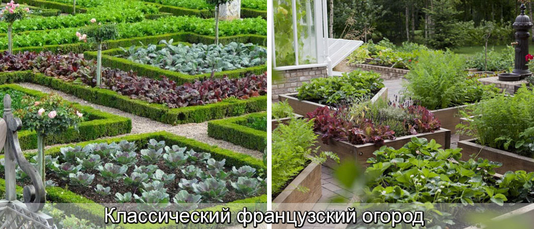 Огород своими руками: 11 фото для вдохновения — security58.ru